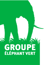 Groupe Eléphant Vert Maroc