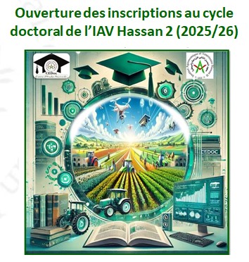 CEDoc25-26